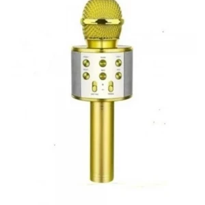 ACL WS-858 Wireless  Karaoke  Hoparlör (BLS-25)