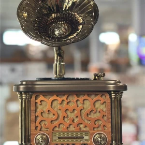 Everton Rt-588  Bluetooth Fm-Usb-Tf-Aux  Şarjlı Nostaljik Radyo
