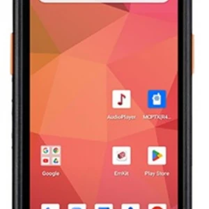 Point Mobile PM84 4 GB Ram 64 GB Wi-Fi 5, Bt,Nfc,A13 GMS Android El Terminali